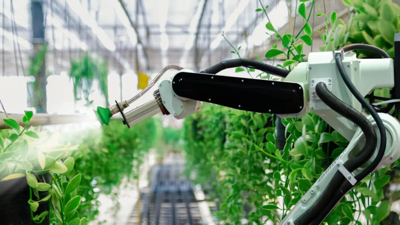 How We Help Agritech Companies Position and Market your Brand